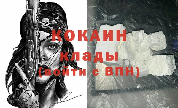 амф Няндома