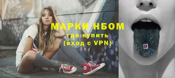 амф Няндома