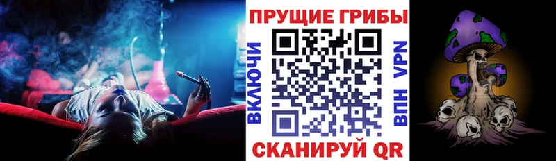 магазин продажи   Ялуторовск  Псилоцибиновые грибы прущие грибы 