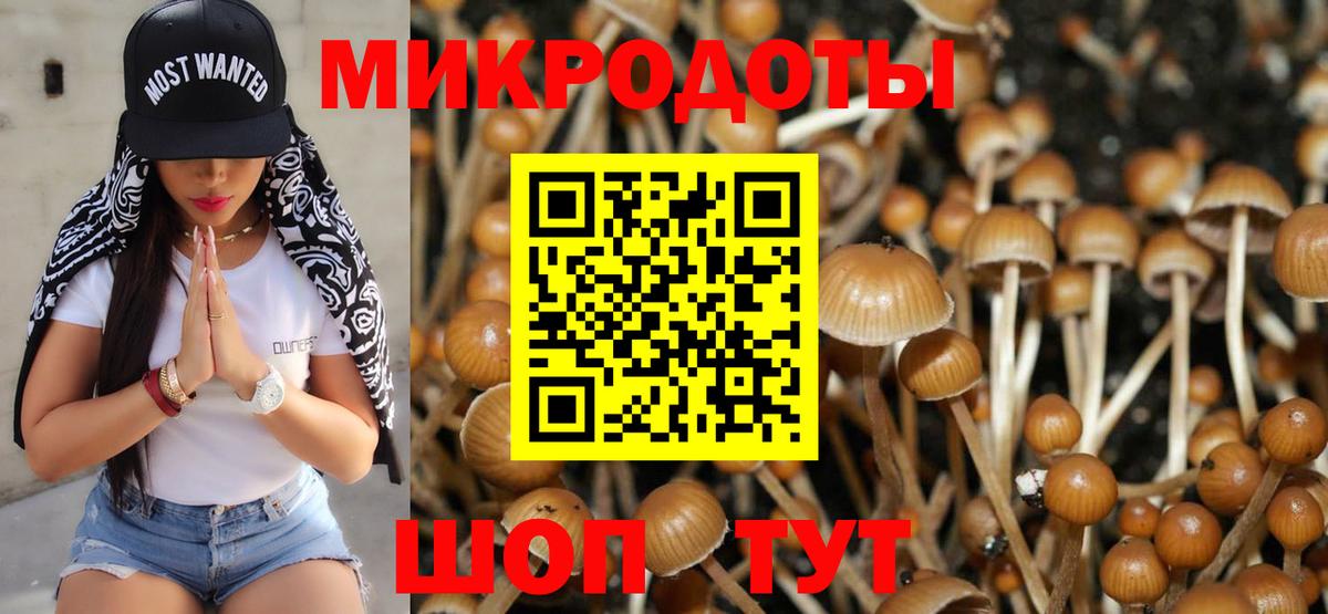 Псилоцибиновые грибы Magic Shrooms Ялуторовск
